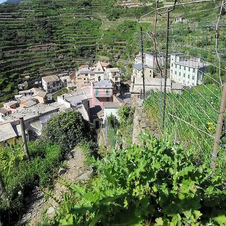 Sentieri Sul Mare Hotel Manarola Buitenkant foto